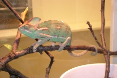 20140527095040