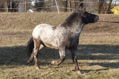 20170228092438