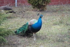 20170228094739